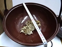 画像1: ジャンボ民芸みやま鍋　３３ｃｍ　展示品ｘ2のみ　ガス用　田舎鍋（いなか鍋）鉄鋳物製